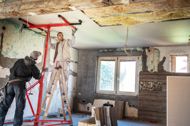 Best Specialized Insulation Services in Montour Falls, NY